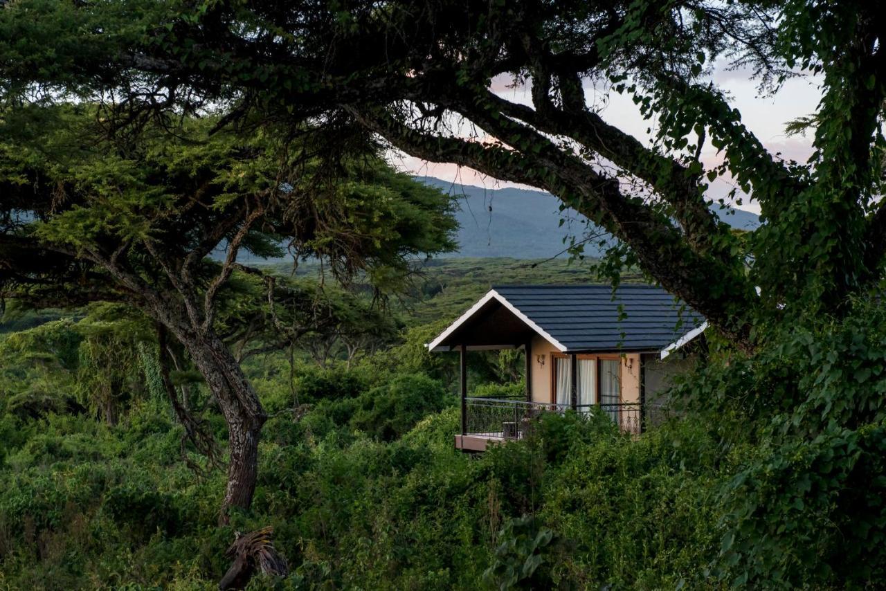 Lions Paw Ngorongoro 호텔 외부 사진