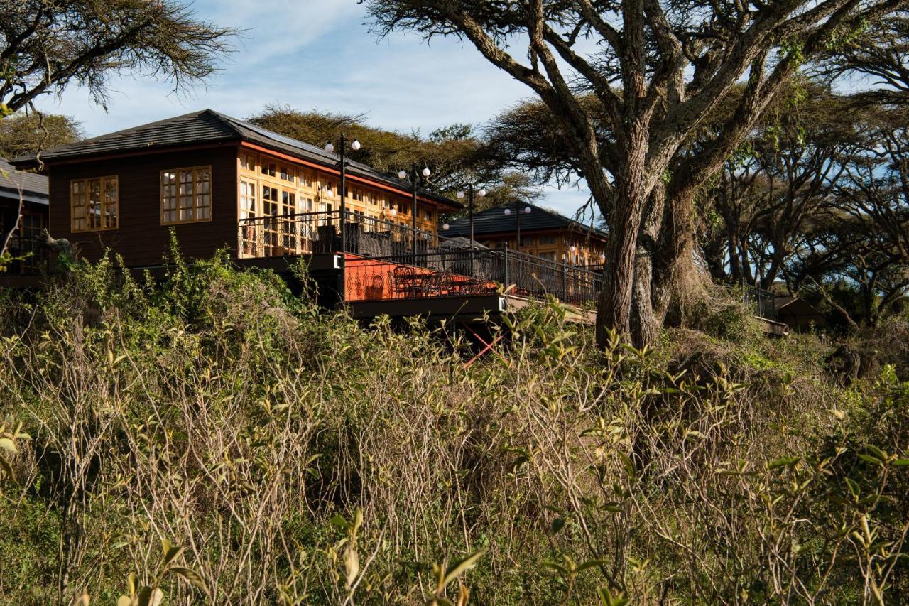 Lions Paw Ngorongoro 호텔 외부 사진